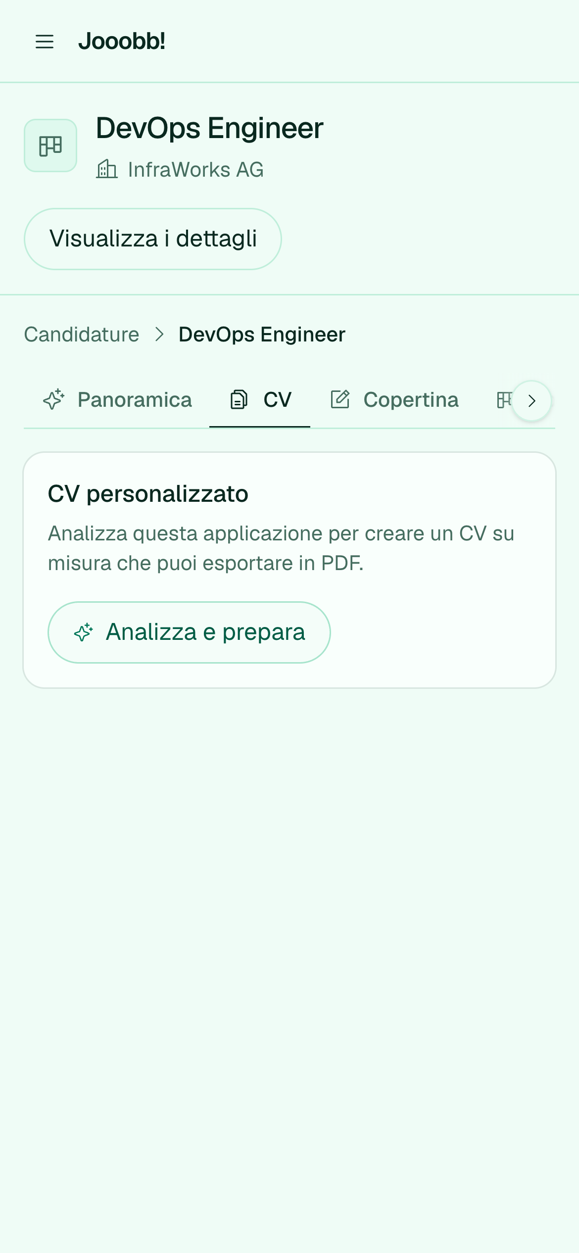 Scheda CV di una candidatura